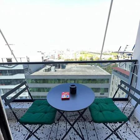 Alpha Holiday